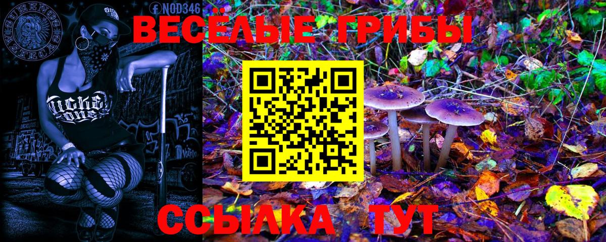 Галлюциногенные грибы Magic Shrooms  Вход с VPN  Камышин 