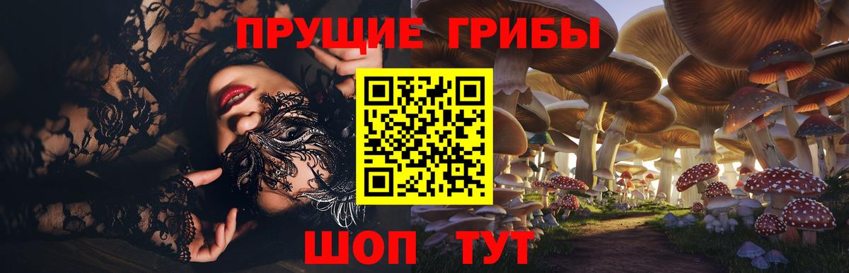 Псилоцибиновые грибы MAGIC MUSHROOMS Камышин