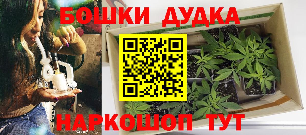 Канабис план  Каннабис MAZAR  Камышин  Вход с VPN  Марихуана конопля 